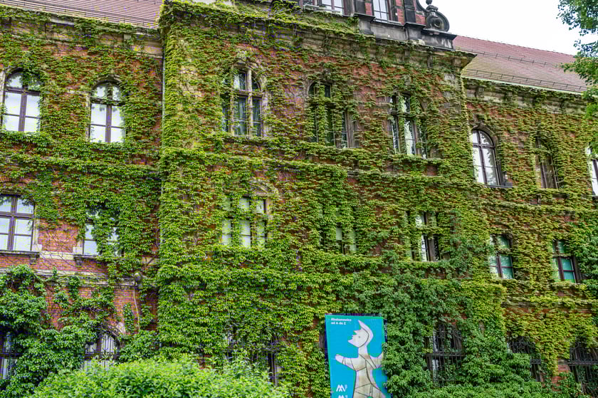 Muzeum Narodowe we Wrocławiu